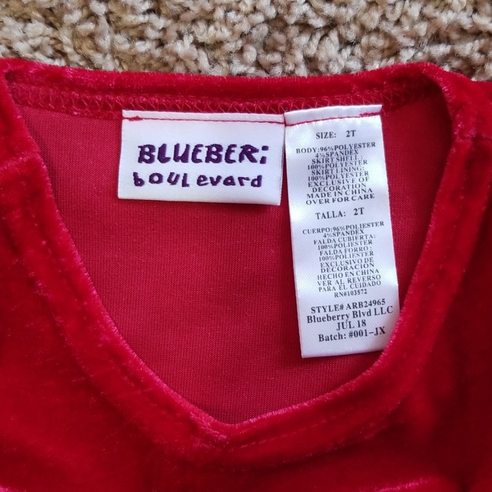 2T BLUEBERI BOULEVARD DRESS - Picture 2 of 3
